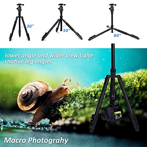 76" Aluminum DSLR Camera Tripod with 360° Ball Head