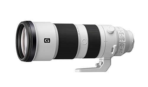 Sony 200-600mm Super Telephoto Zoom Lens