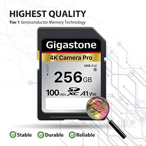 Gigastone 256GB SD Card: Ultra HD Video Compatible