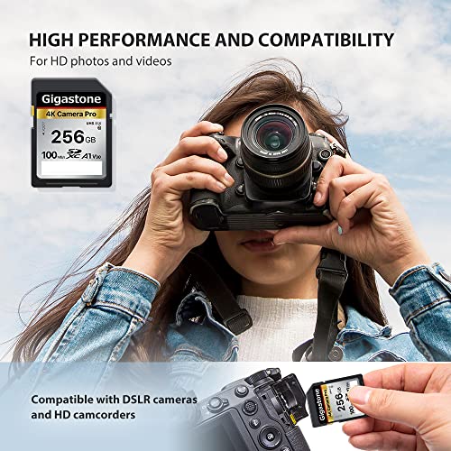 Gigastone 256GB SD Card: Ultra HD Video Compatible