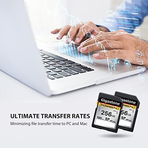 Gigastone 256GB SD Card: Ultra HD Video Compatible
