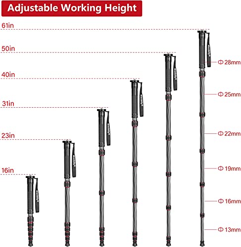 Compact Carbon Fiber Camera Monopod with Walking Stick Handle