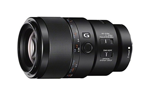 Sony SEL90M28G FE 90mm f/2.8-22 Macro G OSS Lens
