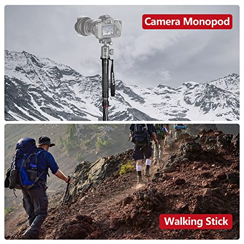 Compact Carbon Fiber Camera Monopod with Walking Stick Handle