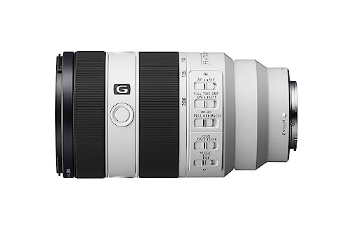 Sony FE 70-200mm F4 Macro Lens