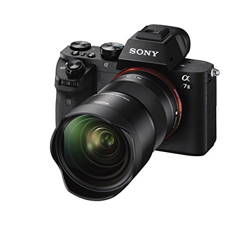 Sony Ultra Wide Converter Lens for Mirrorless Cameras