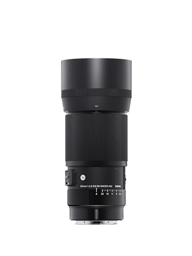 Sigma 105mm F2.8 Macro Art Lens (Sony E-mount)