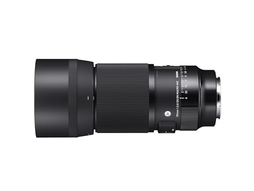 Sigma 105mm F2.8 Macro Art Lens (Sony E-mount)