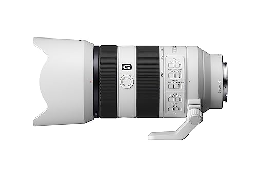 Sony FE 70-200mm F4 Macro Lens