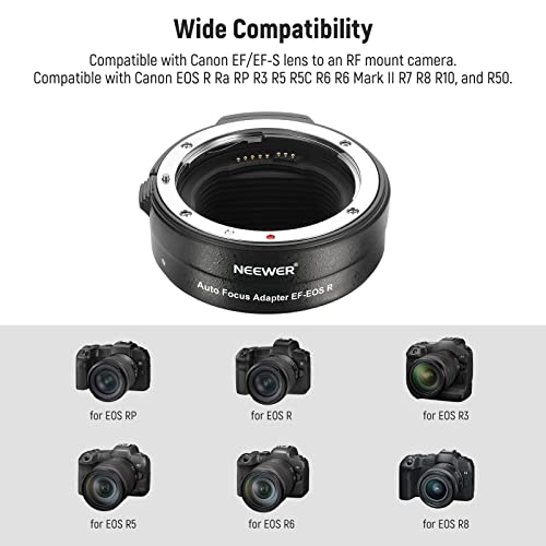 Canon EF to EOS R Adapter - Autofocus Converter