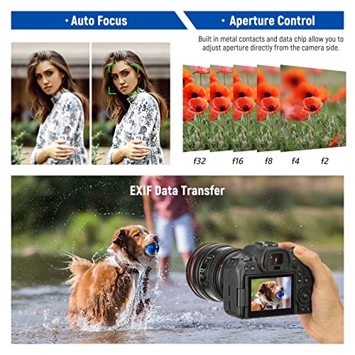 Canon EF to EOS R Adapter - Autofocus Converter