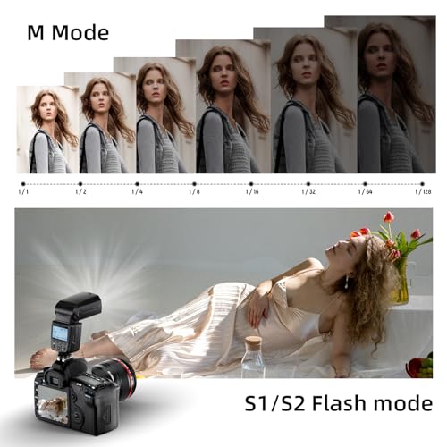 PHOTOOLEX Flash Speedlite for Canon Nikon Sony Cameras
