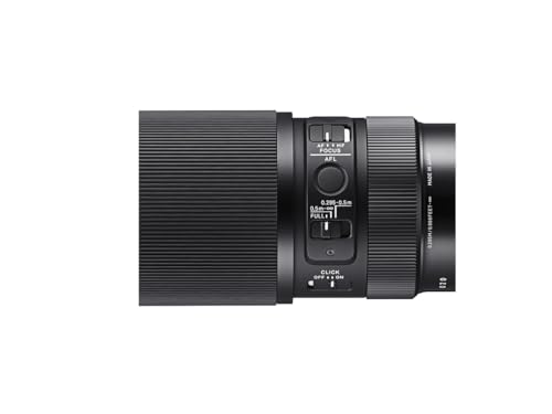 Sigma 105mm F2.8 Macro Art Lens (Sony E-mount)