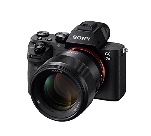 Sony SEL85F18 85mm Medium-Telephoto Prime Lens