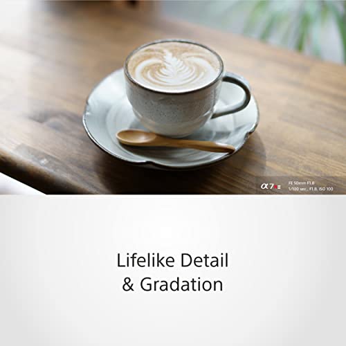 Sony FE 50mm F1.8 Standard Lens, Black