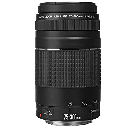 Canon EOS 2000D Camera with Zoom Lens Bundle