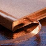 Pregnancy Memory Baby Journal with Gift Box