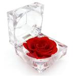 Eternal Red Rose Gift Box for Her