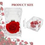 Eternal Red Rose Gift Box for Her