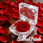 Eternal Red Rose Gift Box for Her