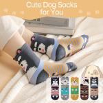 Funny Cat Socks for Women - 5 Pairs