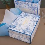 Large Wedding Gift Bag with Greeting Card and Tissue