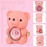 Romantic Teddy Bear with Hidden Jewelry Box