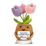 Crochet Tulip Mum Gift with Heartfelt Message