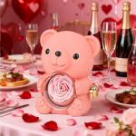 Romantic Teddy Bear with Hidden Jewelry Box