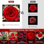 Real Black Rose Gift Set with Necklace for Her