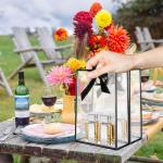 40 Clear Gift Bags with Black Ribbon Bows