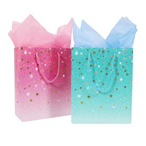 2 Pack Colorful Gift Bags with Tissue Paper