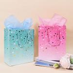 2 Pack Colorful Gift Bags with Tissue Paper