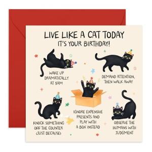 Funny 'Live Like a Cat' Birthday Card