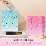 2 Pack Colorful Gift Bags with Tissue Paper