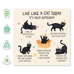 Funny 'Live Like a Cat' Birthday Card
