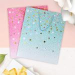 2 Pack Colorful Gift Bags with Tissue Paper