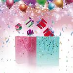 2 Pack Colorful Gift Bags with Tissue Paper