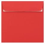 Funny Birthday Card for Dog Owners