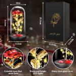 Eternal Rose in Glass with LED Light