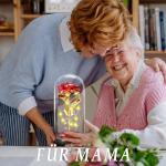 Eternal Rose in Glass with LED Light