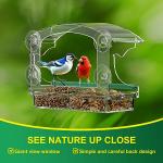 Clear Acrylic Window Bird Feeder with Suction Cups