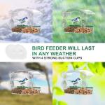 Clear Acrylic Window Bird Feeder with Suction Cups