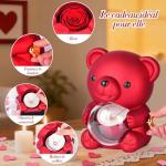 Real Rose Teddy Bear in Gift Box