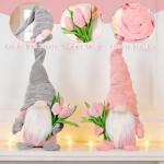 Tulip Gonks Plush Dolls - Spring Decor Set