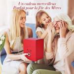 Real Rose Teddy Bear in Gift Box