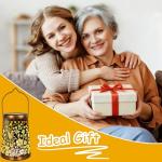 Set of 2 Waterproof Solar Lanterns for Outdoors