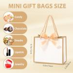 12 Mini Gift Bags with Ribbons for Any Occasion
