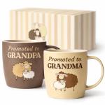 Funny Coffee Mugs for New Grandparents Gift