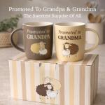 Funny Coffee Mugs for New Grandparents Gift